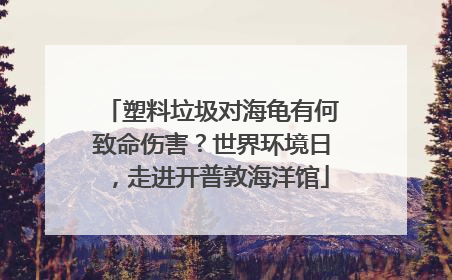 塑料垃圾对海龟有何致命伤害？世界环境日，走进开普敦海洋馆